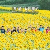 石川綾子 - 『希望』
