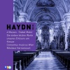 Franz Joseph Haydn、Austro-Hungarian Haydn Orchestra、Adam Fischer《Symphonie No. 1 in D (D大调第1号交响曲《第一乐章 急板)(Presto)》[MP3/LRC]