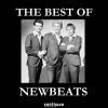 The Newbeats《Bye Bye Love》[MP3/LRC]