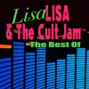 Lisa Lisa And Cult Jam《I Wonder If I Take You Home (Re-Recorded Remastered)》[MP3/LRC]