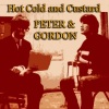 Peter And Gordon - I Feel Like Going Out