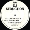 Seduction - Can You Feel It