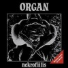 organ - Organ (2001 Digital ;)(Remaster)