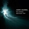 Harry Hearing - In The Mist