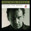 Victor Perez《Feeling The House Music (Andrea T Mendoza Vs Tibet Rmx)》[MP3/LRC]