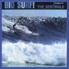 the sentinals - Big Surf