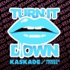 Kaskade、Rebecca、Fiona - Turn It Down (Le Castle Vania Remix)