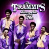 The Trammps《Disco Inferno (Re-recorded|Remastered)》[MP3/LRC]