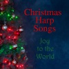 Instumental Music Group - Joy to the World