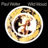 Paul Weller - Sunflower