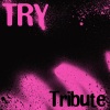 Tribute Team - Try