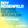 Roy RosenfelD《Eastern Delights (Original Mix)》[MP3/LRC]