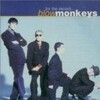 the blow monkeys - Celebrate (The Day After You)