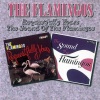 the flamingos《In The Still Of The Night》[MP3/LRC]