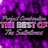 The Satintones《Perfect Combination》[MP3/LRC]