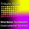 Tribute Stars《One Direction (What Makes You Beautiful)》[MP3/LRC]