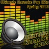 Ultimate Karaoke Stars - Somebody That I Used to Know (In the Style of Gotye)