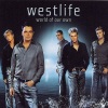 Westlife《Never knew I was losing you》[MP3/LRC]