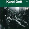 Karel Gott《Sedmikráska》[MP3/LRC]