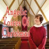 The Hamburg Students Choir、Mantovani Orchester - O Holy Night