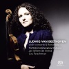 Liza Ferschtman - Violin Concerto op. 61 in D major: Allegro ma non troppo