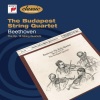 budapest string quartet、Ludwig van Beethoven - I. Allegro con brio