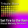 Tribute Stars - Adele - Set Fire To The Rain (VocalMelodyVersion)