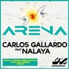 Nalaya、Carlos Gallardo - Arena (Radio Edit)