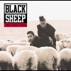 Black Sheep - Intro