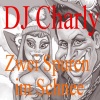 Charly《Zwei Spuren im Schnee (Partyversion)》[MP3/LRC]