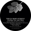 Tolga Baklacioglu - Feeling Now and Then