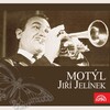 Jiří Jelínek - Zčervená