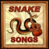 Al Casey - Rattlesnake Daddy