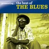 T-bone walker、Ella Fitzgerald、Dizzy Gillespie - Born to Be No Good