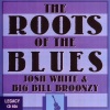 Big Bill Broonzy《Ridin' On Down》[MP3/LRC]