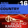 ProSound Karaoke Band《When You Say Nothing At All (Karaoke Instrumental Track)》[MP3/LRC]