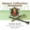 mozarteum orchestra salzburg - Symphony No. 25 In G Minor, K. 183 - I. Allegro con brio