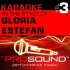 ProSound Karaoke Band《Seal Our Fate  [In the style of Gloria Estefan] (Karaoke With Background Vocals)》[MP3/LRC]