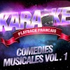 Karaoke《A Quoi Bon ? — Karaoké Playback Avec Choeurs — Rendu Célèbre Par Sébastien Lorca, Sonia Lacen Et Steve De Paz (Comédie Musicale 