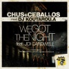 dj chus《We Got The Night Feat Joi Cardwell (Chus & Ceballos Stereotek Mix)》[MP3/LRC]