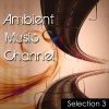 Musica & Benessere、Didascalis、Musica、Benessere - Lady