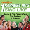 Karaoke - The Carnival Is Over (Karaoke Version)