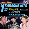 Karaoke - Dude (Looks Like a Lady)(Karaoke Version)