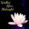 Patsy Cline、Jimmy Wakely - Walkin' After Midnight