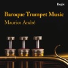 Maurice Andre《I. Vivace》[MP3/LRC]