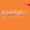 Guarneri Trio Prague、Pavel Šporcl - Piano Trio No. 1 in B-Flat Major, Op. 21, B. 51: I. Allegro molto