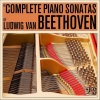 Dubravka Tomšič - Piano Sonata No. 1 In F Minor, Op. 2 No. 1 - I. Allegro (F小调第1号钢琴奏鸣曲，作品2 第1首 - 第一乐章 快板)
