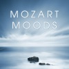 Vilmos Fischer、Vienna Mozart Ensemble - Piano Concerto No. 21 in C Major, K. 467, 