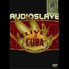 Audioslave - Spoonman (Live)