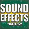 Sound Effects - Bird Blue Jay Single In Flight Call